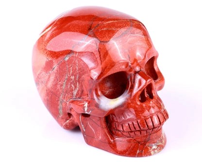 5cm red jasper crystal skull front view white background deep red polished natural stone