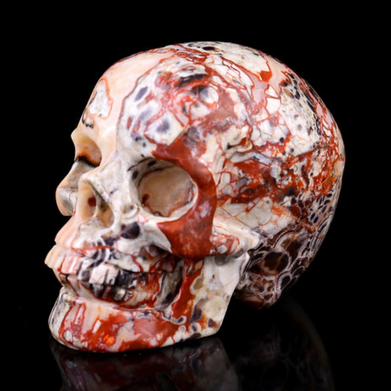 Fournisseur de crânes en agate œil d'argent naturel